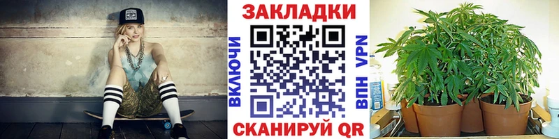 Купить наркотик Хадыженск Бошки Шишки  КОКАИН  БУТИРАТ  Меф  Гашиш 
